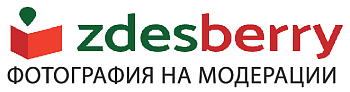 Расческа для волос длина 23см (12) 14037